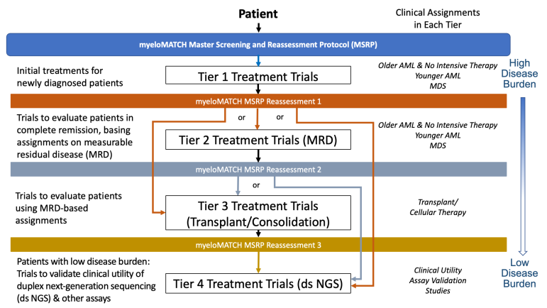 flowchart of patient process in myeloMATCH treatment trials